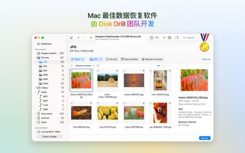 Mac数据丢失别慌!Clever Data Recovery 6.2 助你瞬间重获失落的文件宝藏